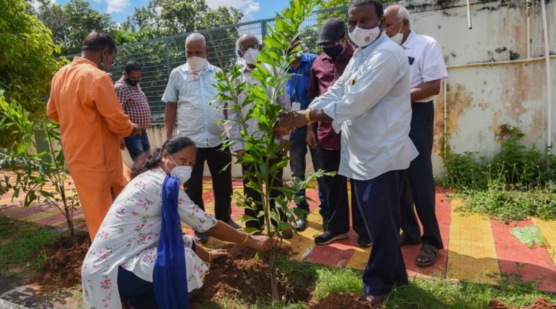 ଆଞ୍ଚଳିକ ଶିକ୍ଷା ପ୍ରତିଷ୍ଠାନ ପ୍ରାକ୍ତନ ଛାତ୍ରଙ୍କ ବୃକ୍ଷରୋପଣ