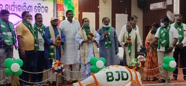 ପରିବର୍ଦ୍ଧିତ ବିଜେଡି କାର୍ଯ୍ୟକାରିଣୀ ବୈଠକ