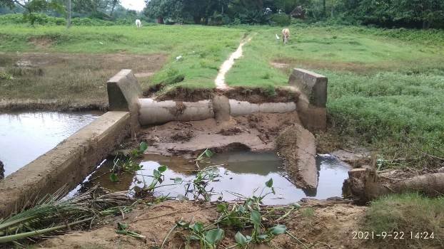 ଲଘୁଚାପ ବର୍ଷାରେ ଧୋଇଗଲା ନିର୍ମାଣ ହୋଇଥିବା ରାସ୍ତା ଓ କଲଭର୍ଟ