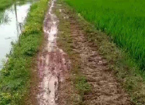 ରାସ୍ତା ମରାମତି ପାଇଁ ଦାବି