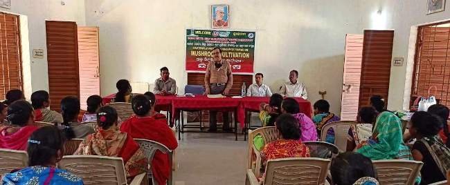 ଗଜପତିରେ ଆତ୍ମନିଯୁକ୍ତି ପାଇଁ ଛତୁ ଚାଷ ତାଲିମ