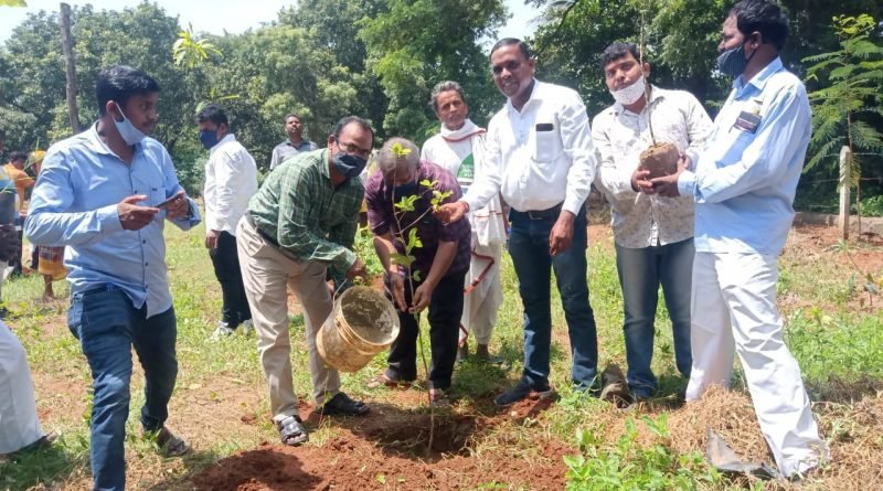 ଓଁ ଶାନ୍ତି ଆଶ୍ରମରେ ବୃକ୍ଷ ରୋପଣ କାର୍ଯ୍ୟକ୍ରମ