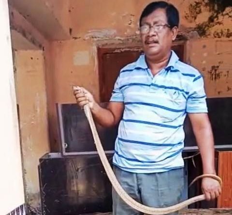 ମାଣିତରା ବିଦ୍ୟାଳୟର ପୁରୁଣା କୋଠାରୁ ନାଗସାପ ଉଦ୍ଧାର