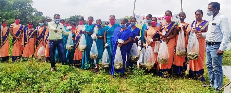 ୫ ଟି ମହିଳାସଂଘକୁ ୪ ଶହ କିଲୋ ଯାଆଁଳା ଓ ଖାଦ୍ୟ ବଣ୍ଟନ