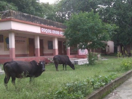 ପ୍ରାଥମିକ ଓ ଉଚ୍ଚପ୍ରାଥମିକ ବିଦ୍ୟାଳୟ ଖୋଲାଯାଉ