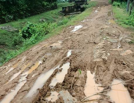 ଦେବତାଗଢିଆ-ଗୋହିରା କେନାଲ ରାସ୍ତା ମରାମତି ଦାବୀ