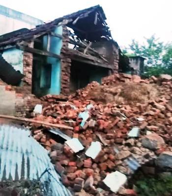 ଲଗାଣ ବର୍ଷାରେ କାନ୍ଥ ପଡି ଗୁହାଳ ନଷ୍ଟ