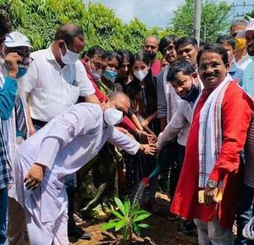 ଗାନ୍ଧୀ ଜୟନ୍ତୀ ଓ ଶାସ୍ତ୍ରୀ ଜୟନ୍ତୀରେ ଓଡ଼ିଆ ଚଳଚ୍ଚିତ୍ର ମନମୋର କାଗଜ ଗୁଡ଼ି ତରଫରୁ ବୃକ୍ଷ ରୋପଣ