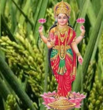 ନିରାଡମ୍ବର ଭାବେ ପାଳିତ ହେଉଛି ମା ଗଜଲକ୍ଷ୍ମୀଙ୍କ ପୂଜା