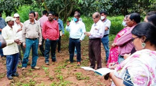 ଗଜପତିର ସଫଳ ଚାଷୀ ଦିନବନ୍ଧୁ