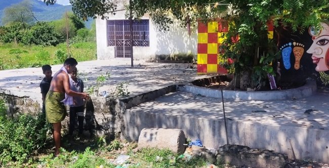 ପରିଣତ ବୟସରେ ଗୋପୀନାଥଙ୍କ ବୃକ୍ଷରୋପଣ ନିଶା