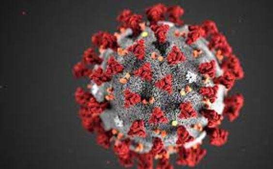 କେନ୍ଦ୍ରାପଡା ଜିଲ୍ଲାରେ ଆଜି ୧୩ କରୋନା ପଜିଟିଭ