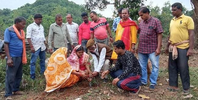 ସାଇ ଆଶ୍ରମରେ ବୃକ୍ଷ ରୋପଣ