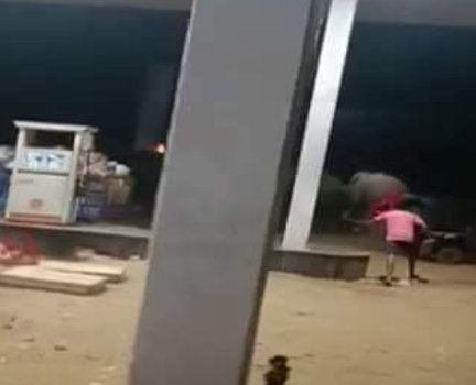 କରଞ୍ଜିଆ ବନଖଣ୍ଡରେ ହାତୀ ଆତଙ୍କ ଜାରୀ, ଅଂଚଳବାସୀ ଆତଙ୍କିତ