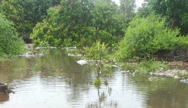 ଆର୍ଯ୍ୟପଲ୍ଲୀ ଓଡିଆରପି କଲୋନୀ ଓ କତୁରୁ ଗ୍ରାମ ମୁଖ୍ୟ ରାସ୍ତାରେ ଆଣ୍ଠୁଏ ପାଣି