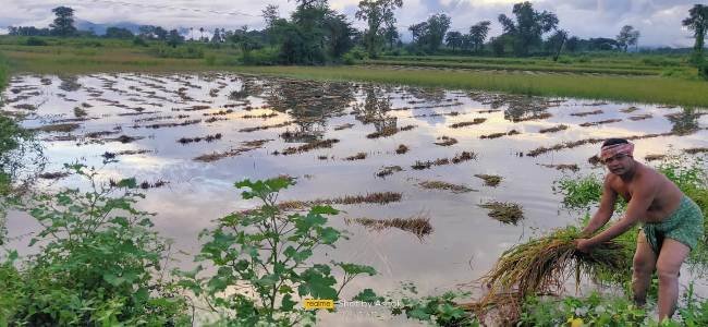 ଗଂଜାମ ଏନଏସିରେ କୃତ୍ରିମ ବନ୍ୟା ପରିସ୍ଥିତି