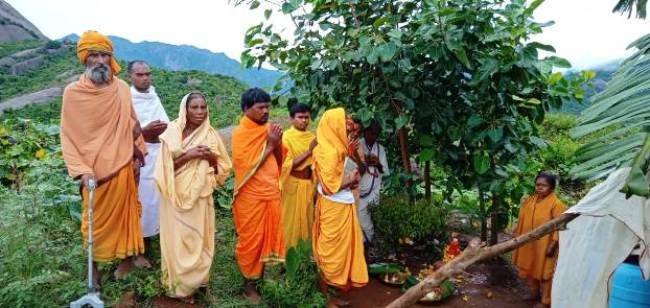 ଗଜପତିରେ ଅଁଳା ନବମୀ ପାଳିତ