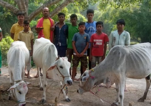ଗୋବର୍ଦ୍ଧନ ପୂଜା ଉତ୍ସବ ଅନୁଷ୍ଠିତ