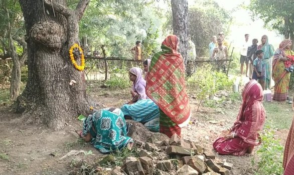 ଲିମ୍ବ ଗଛରେ ଗଦା, ଶଙ୍ଖ ଚିହ୍ନ