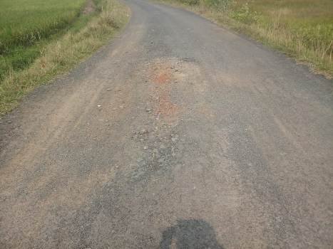 ଆମ୍ବଗଢିଆ-ସାବିତ୍ରୀ ପୀଠ ରାସ୍ତା ଶୋଚନୀୟ