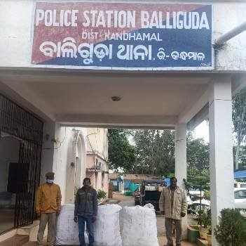 ଅଟୋସହ ଗଂଜେଇ ଜବତ ଜଣେ ଗିରଫ