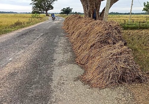 ଚାଷୀଙ୍କ ଉପରେ ଦାଉ ସାଧୁଛି ପ୍ରକୃତ୍ତି