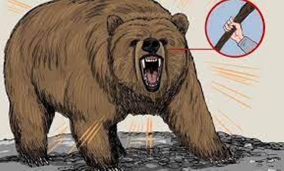 ଭାଲୁ ଆକ୍ରମଣରେ ଯୁବକ ଗୁରୁତର