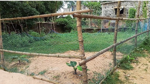 ସ୍କୁଲରେ କିଚେନ ଗାର୍ଡନ ନାମରେ ଅନୁଦାନ ହେଉଛି ହରିଲୁଟ
