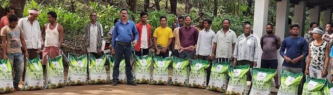 ଆଇଟିଡିଏ ତରଫରୁ ଗୁମ୍ମାରେ ରବର ଚାଷୀଙ୍କୁ ଚାରା ବଣ୍ଟନ