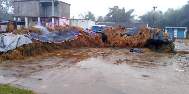 ଚାଷୀଙ୍କ ମୁଣ୍ଡରେ ଅଦିନିଆ ବର୍ଷା ଚଡକ