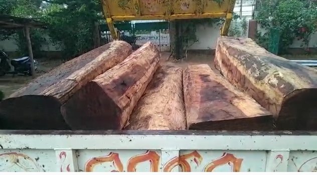 ଟ୍ରାକ୍ଟର ସହ ବିପୁଳ ପରିମାଣର କାଠ ଜବତ : ୨ ଗିରଫ