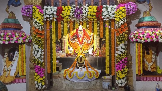 ବଡ଼ସିଂହାର ବେଶରେ ସଜ୍ଜିତ ହେଲେ ମାଆ ବଗଳାମୁଖୀ