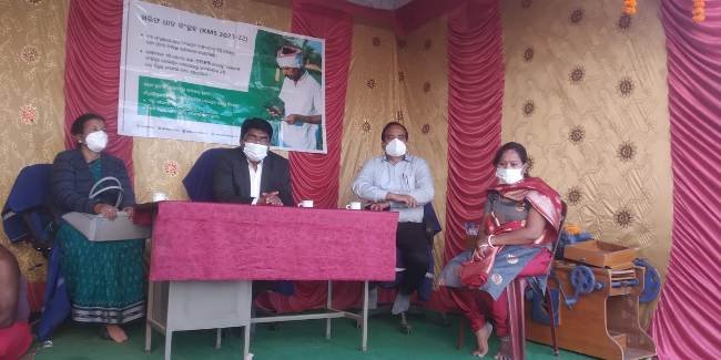 ୯ଟି ଲ୍ୟାମ୍ପରେ ଧାନ ମଣ୍ଡି ଶୁଭ ଉଦଘାଟିତ