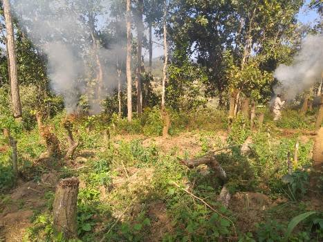 ପୋଲିସର, ଅବକାରୀ, ରାଜସ୍ୱ ଓ ବନବିଭାଗର ଚଢଉ :ଗଞେଇ ଗଛ ପୋଡିଲେ