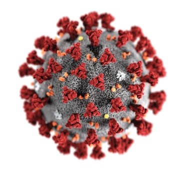 ୪୩ କରୋନା ଆକ୍ରାନ୍ତ ଚିହ୍ନଟ