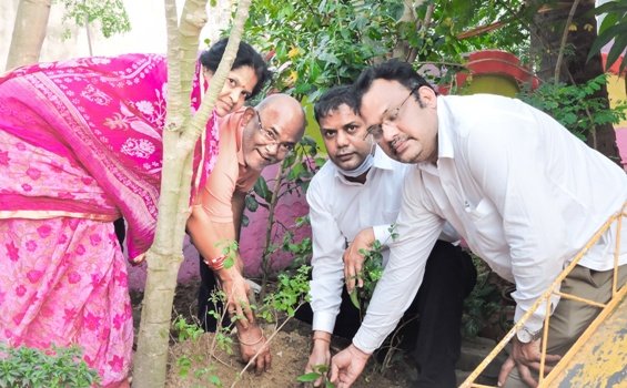 ମାତୃ ସ୍ମୃତିରେ ହାସ୍ୟ ଅଭିନେତାଙ୍କ ବୃକ୍ଷ ରୋପଣ