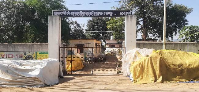 ମିଲର ଧାନ ଉଠାଉନି ମଣ୍ଡି ଚାଷୀ ହତାଶ ଆନ୍ଦୋଳନ ପାଇଁ ମସୁଧା