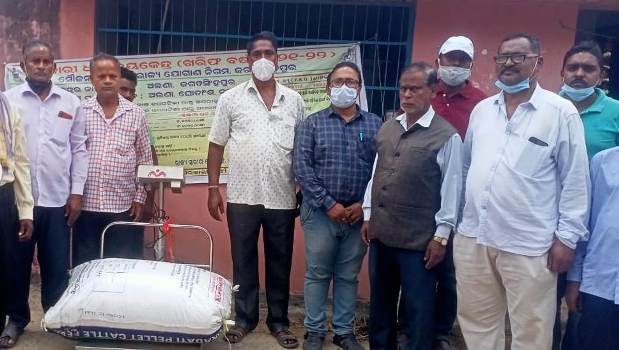 ଶିଖର ଓ ଅଲଣାରେ ଧାନମଣ୍ଡି ଉଦଘାଟିତ