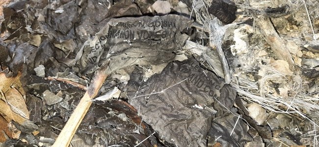 ଷ୍ଟ୍ରଙ୍ଗ ରୁମର ସୁରକ୍ଷା ନେଇ ପ୍ରଶ୍ନବାଚୀ : ନିର୍ବାଚନ ଆୟୋଗଙ୍କୁ ବିଜେପିର ଅଭିଯୋଗ