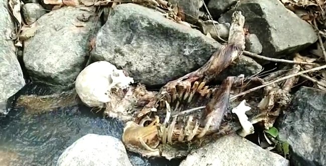 ମାର୍ଲବା ଘାଟିରେ ନରକଙ୍କାଳ