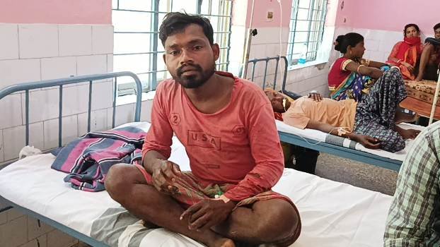 କଲରାପତିଆ ବାଘ ଆକ୍ରମଣରେ ଦିଅର ଭାଉଜ ଗୁରୁତର