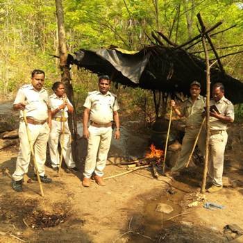 ମିଳିତ ଅବକାରୀ ଚଢଉ ୧୨ଶହ ଲିଟର ମହୂଲ ପଚୋ ନଷ୍ଟ : ଚୋରା ଦେଶୀ ରନ୍ଧା ମଦ ଜବତ