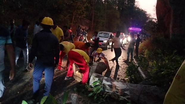 ଜାତୀୟ ରାଜପଥରେ ଗଛ ପଡି ୩ଘଣ୍ଟା ରାସ୍ତା ଅବରୋଧ