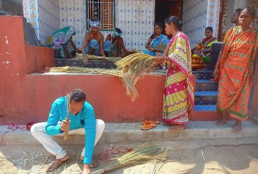 ଆଦିବାସୀଙ୍କୁ ଫୁଲ ଝାଡୁ ଚାଷ ରୋଜୋଗାର ସହ ଜୀବିକା ଯୋଗାଇଛି