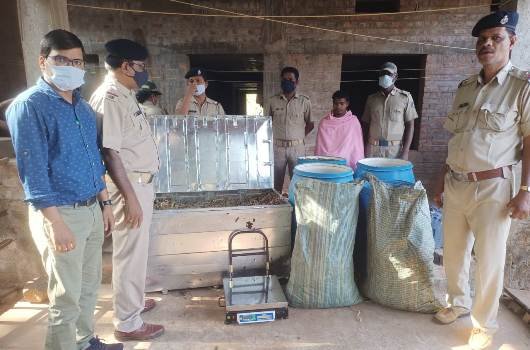 ଘରୁ ୨୯୦ କିଲୋ ଗଞ୍ଜେଇ ସହ ମାଫିଆ ଗିରଫ