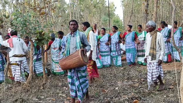 ଦୁଵୁଲାବେଡା ଜଙ୍ଗଲରେ ଆଦିବାସୀ ସାନ୍ତାଳୀ ସମାଜର 'ବାହା ପରବ '