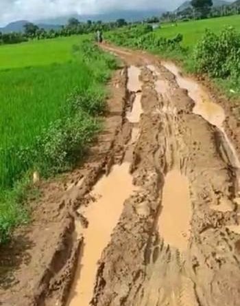 ୩ପଞ୍ଚାୟତକୁ ସଂଯୋଗ କରୁଥିବା ରାସ୍ତା ପାଲଟିଅଛି ମରଣଯନ୍ତା