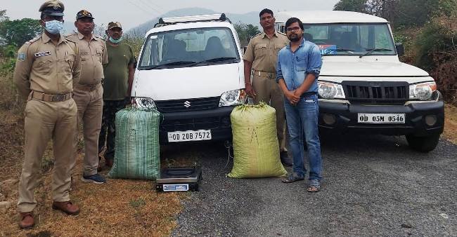 ମାରୁତି ଇକୋ ଭେନରୁ ୬୦ କିଲୋ ଗଞ୍ଜେଇ ଜବତ 