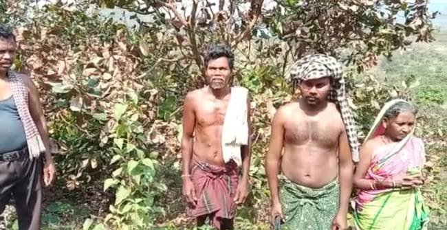 ଅଜଣା ରୋଗରେ କାଜୁ ଫସଲ ନଷ୍ଟ : ଆଦିବାସୀ ମାନଙ୍କୁ ସହାୟତା ପ୍ରଦାନ ନିମନ୍ତେ ଦାବୀ