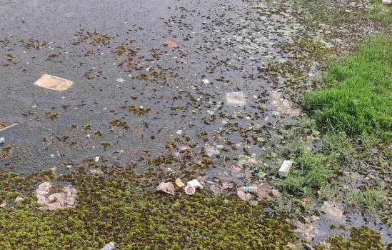 ପୋଖରୀ ସଫେଇକୁ ନେଇ ଜନ ଅସନ୍ତୋଷ : ଯଥାଶୀଘ୍ର ପୋଖରୀ ସଫେଇ କରିବାକୁ ସାଧାରଣରେ ଦାବି